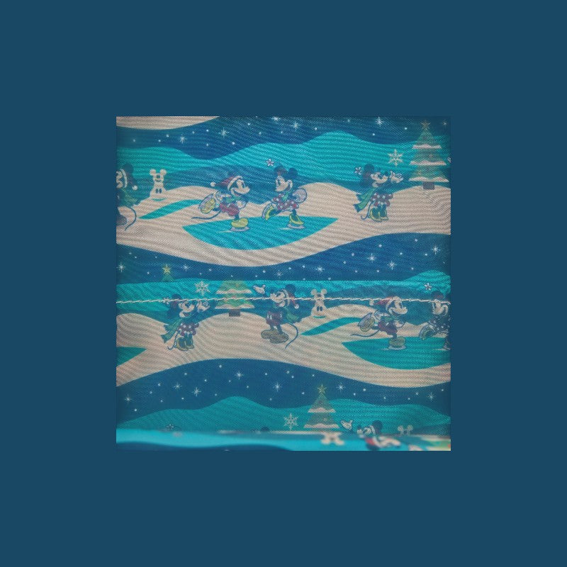 DISNEY - Mickey & Minnie 